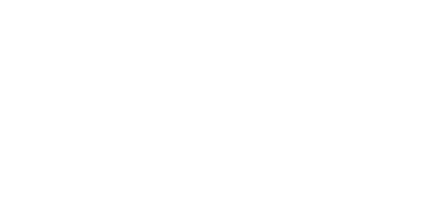 client gesco expert - adidas